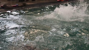 Combat Water Survival