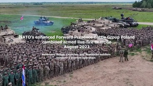 Task force Ivy Soldiers, NATO forces conduct CALFEX
