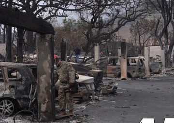 Relief efforts continue in the wake of Maui wildfires