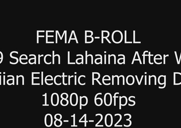 FEMA B-Roll of USAR K9 Search and Hawaiian Electric Debris Removal