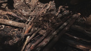 Jungle Leaders Course: Jungle Survival
