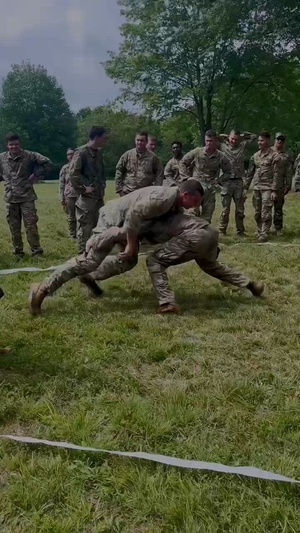 Combatives training