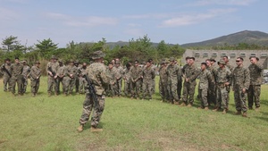 Engineer Maintenance Company Live Grenade Range