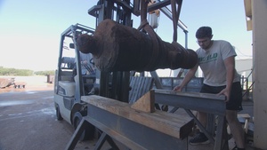 Savannah Harbor cannon go to Texas A&M for conservation