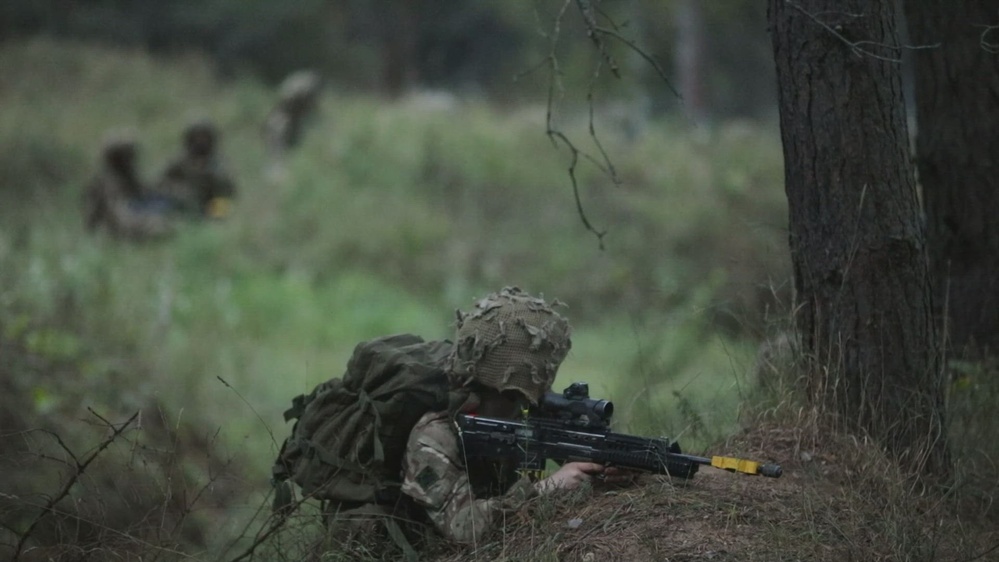 DVIDS - Video - B-Roll: Task Force Ivy Soldiers, multinational troops ...