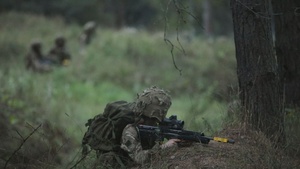 B-Roll: Task Force Ivy Soldiers, multinational troops participate in Exercise Bourlon Lancer