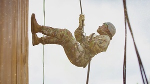Rappel parallax and logo