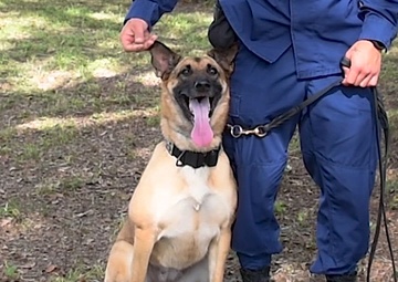 Coast Guard celebrates National Dog Day