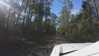 Hurricane Idalia - GoPro Footage of Live Oak, FL Damage from Car
