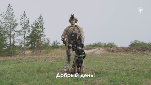 Что входит в экипировку кинологической группы сил специального назначения?
