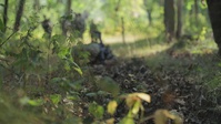 2023 U.S. Army Reserve Best Squad Competition Day 2