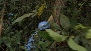 INDOPACOM Update