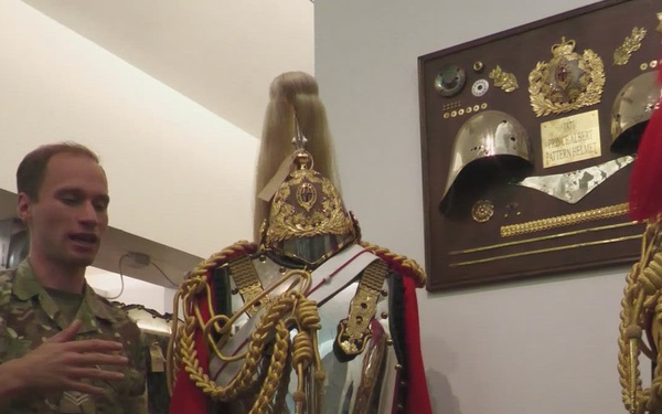 B-Roll:  US Veterinary soldiers visit the  Household Cavalry Mounted Regiment