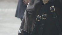 CLEAN COPY:  230905-VIC_AFNE_US Soldiers visit the Household Cavalry Mounted Regiment
