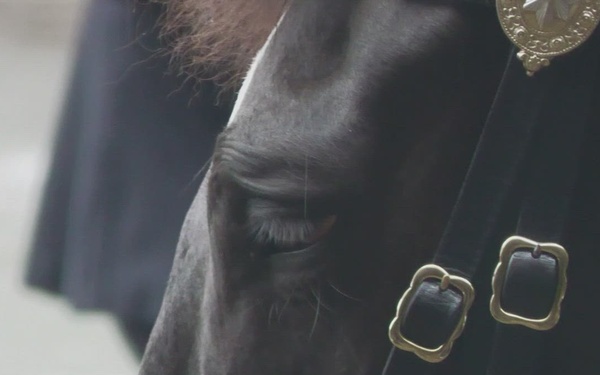 CLEAN COPY:  230905-VIC_AFNE_US Soldiers visit the Household Cavalry Mounted Regiment
