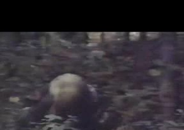 NBC Center in Chemical Biological Operations