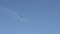 Falcon Leap 2023