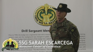 Maneuver Center of Excellence Drill Sergeant of the Year explains why you should become a Drill Sergeant