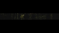 3d Marine Division 81st Anniversary