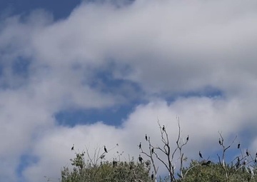 Partnerships provide learning opportunities on the Mississippi River