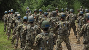 2-19 IN Hand Grenade Training (B-Roll)