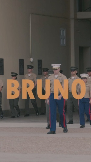 Bruno Promotion Reel