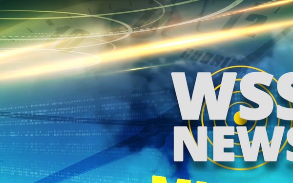 NAVSUP WSS News Minute: International Customer User Group