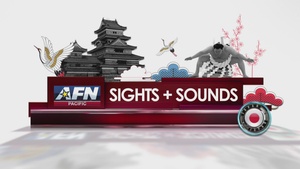 Sights and Sounds: Toshogu Shrine