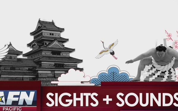 Sights and Sounds: Toshogu Shrine