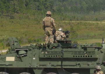 194th 2-15 Cav Stryker LFX