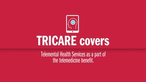 Virtual Mental Health Providers