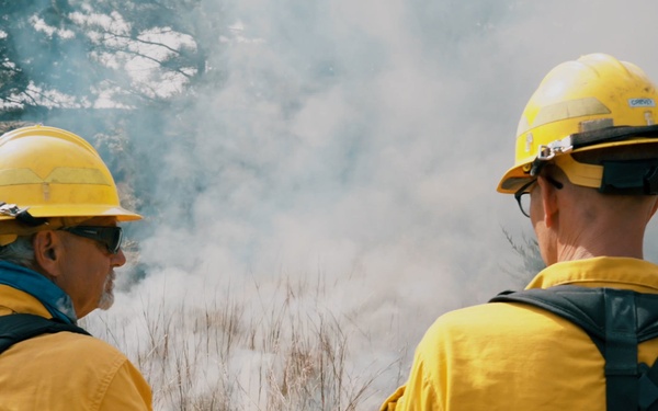 Joint Base Cape Cod  - Controlled Burn