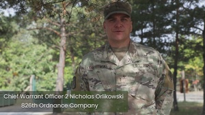 Army Reserve Ordnance Company Conducts a Controlled Burn alongside Polish Allies in Poland