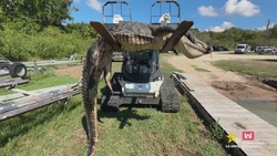 Galveston District hosts 8th gator hunt for wounded veterans