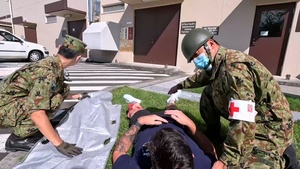 MEDDAC Japan mass-casualty exercise 2023