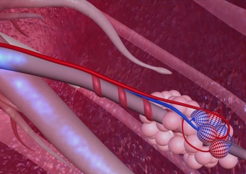 Respiratory Reinforcements