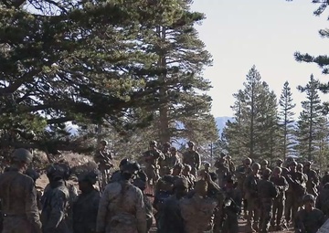 2/5 Marines conduct a patrol and simulated casualty evacuations during MTX 1-24