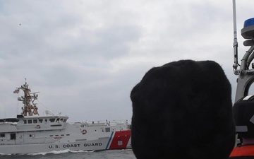 CGC William Chadwick crew members conduct fishery and vessel boardings