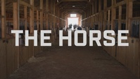 The Horse