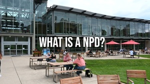 What is a NPD?