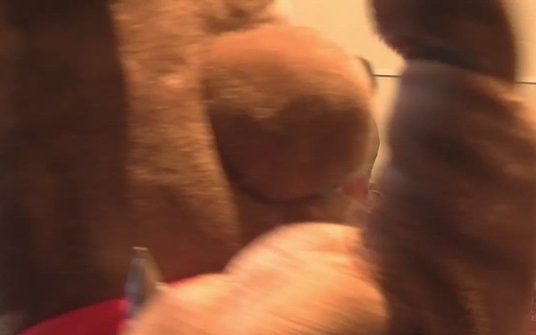 48th Marine Corps Marathon opening ceremony and expo