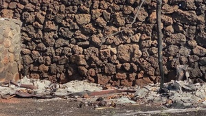 USACE conducts first wildfire debris removal site assessment in Lahaina, Hawai‘i
