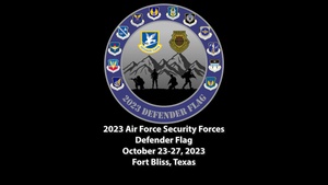 2023 Defender Flag