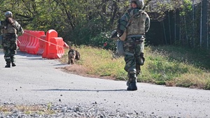 51st SFS conducts MWD training during Vigilant Defense 24