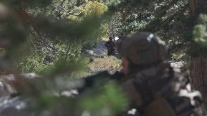 2/5 Marines conduct a patrol and simulated casualty evacuations during MTX 1-24