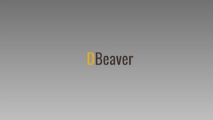 DBeaver Training
