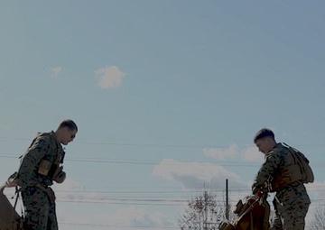 Resolute Dragon 23: 3d MarDiv, JGSDF Conduct Bilateral Medical Evacuation Training at Yausubetsu