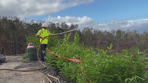 USACE begins Phase 2 debris removal in Kula, HI