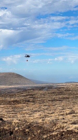 Bambi Bucket Drop at Pohakuloa Training Area