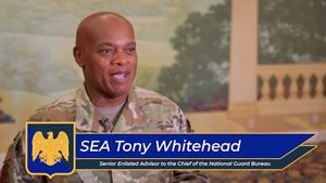 National Guard marks new era with unveiling of Senior Enlisted Advisor positional colors